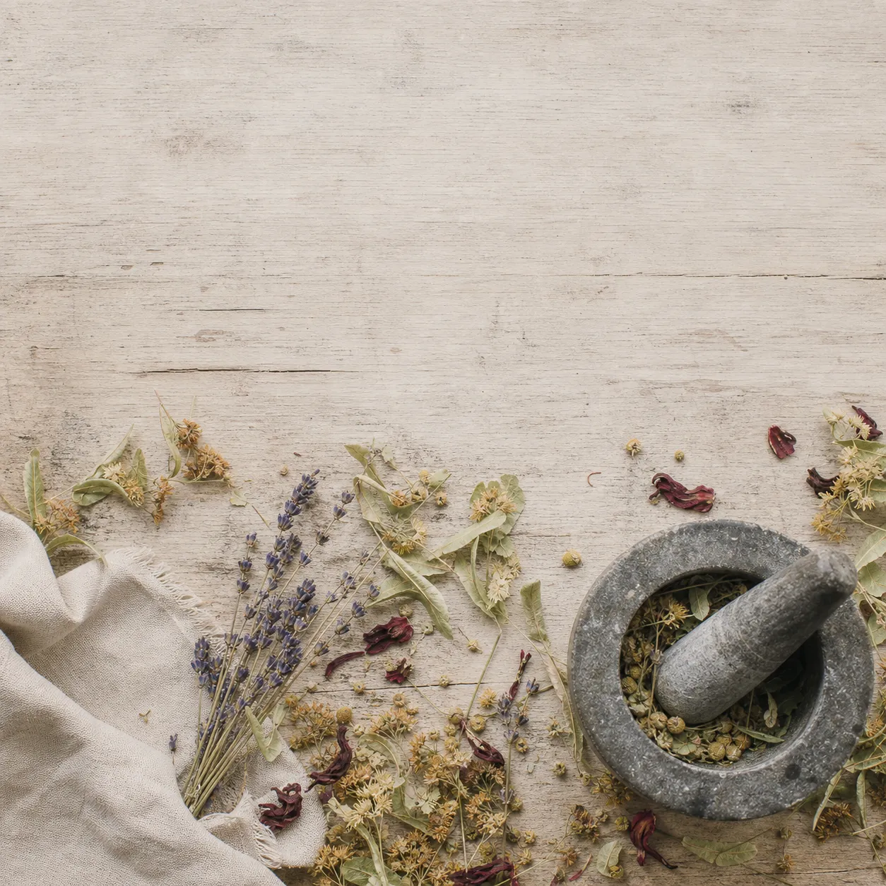 Plantas y herbolaria sobre una mesa de madera